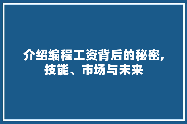 介绍编程工资背后的秘密,技能、市场与未来