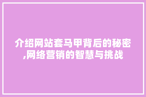 介绍网站套马甲背后的秘密,网络营销的智慧与挑战