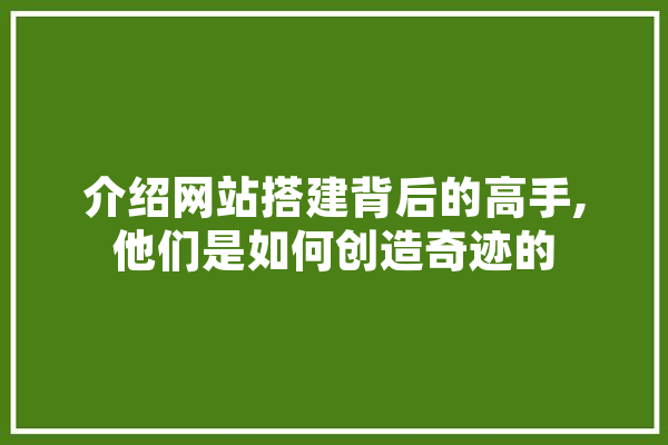 介绍网站搭建背后的高手,他们是如何创造奇迹的