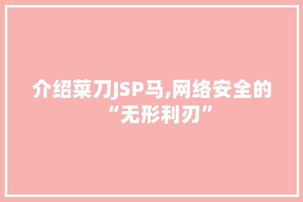 介绍菜刀JSP马,网络安全的“无形利刃”