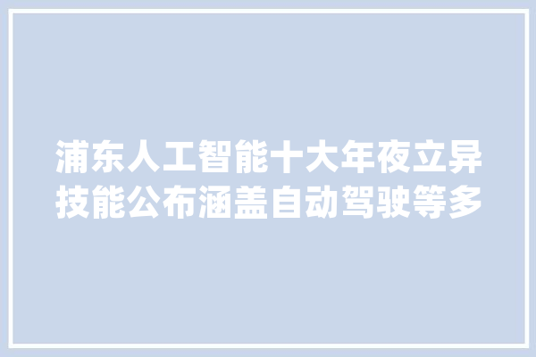 浦东人工智能十大年夜立异技能公布涵盖自动驾驶等多个领域_人工智能_浦东新区