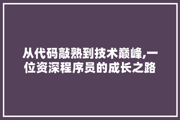 从代码敲熟到技术巅峰,一位资深程序员的成长之路