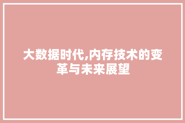 大数据时代,内存技术的变革与未来展望