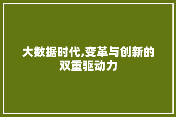 大数据时代,变革与创新的双重驱动力 智能助手