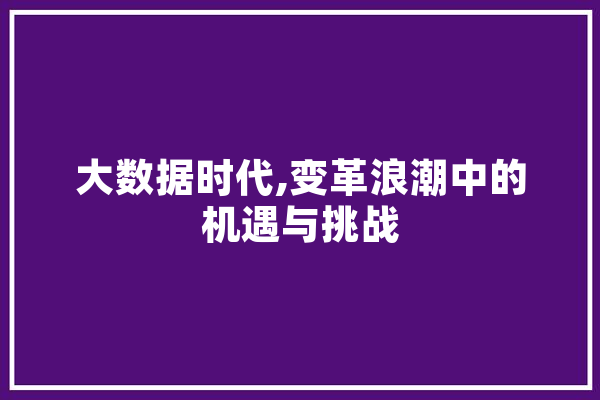 大数据时代,变革浪潮中的机遇与挑战