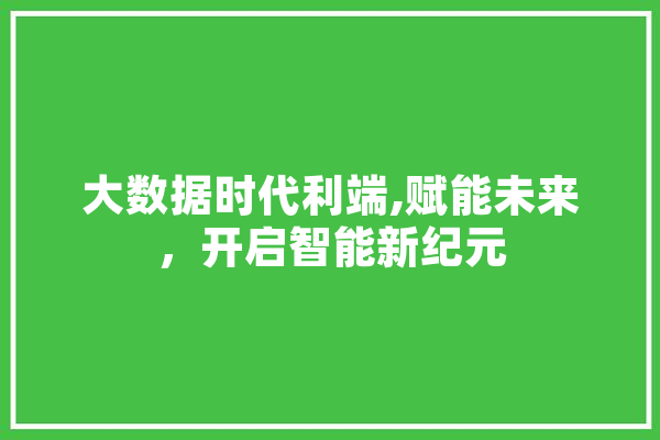 大数据时代利端,赋能未来，开启智能新纪元