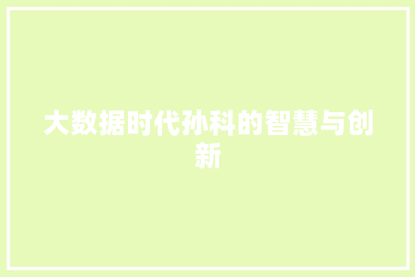 大数据时代孙科的智慧与创新