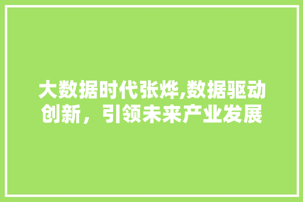 大数据时代张烨,数据驱动创新，引领未来产业发展 智能问答