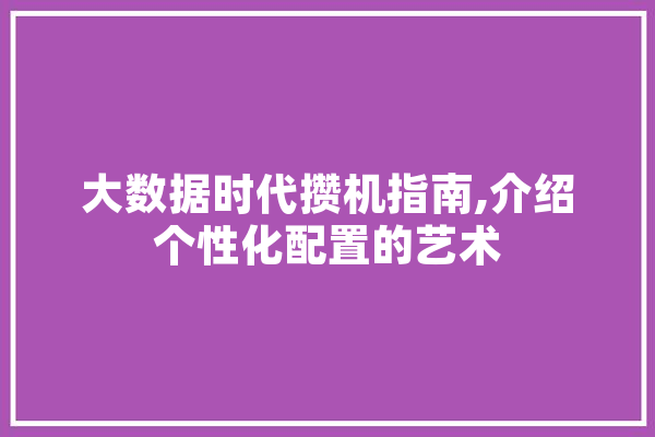 大数据时代攒机指南,介绍个性化配置的艺术