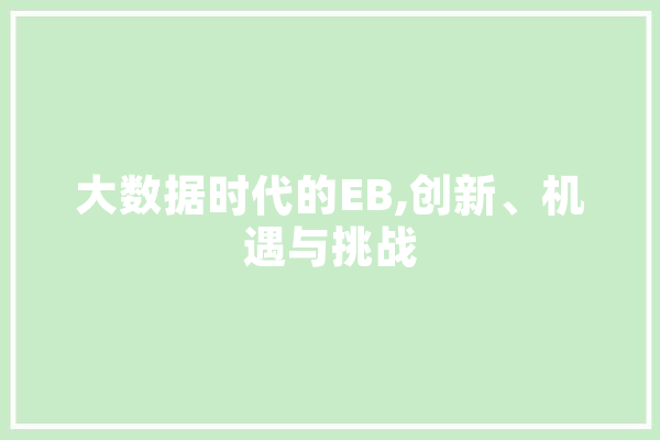 大数据时代的EB,创新、机遇与挑战