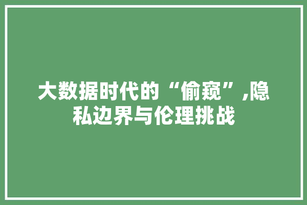 大数据时代的“偷窥”,隐私边界与伦理挑战