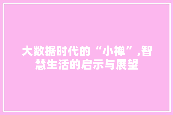 大数据时代的“小禅”,智慧生活的启示与展望