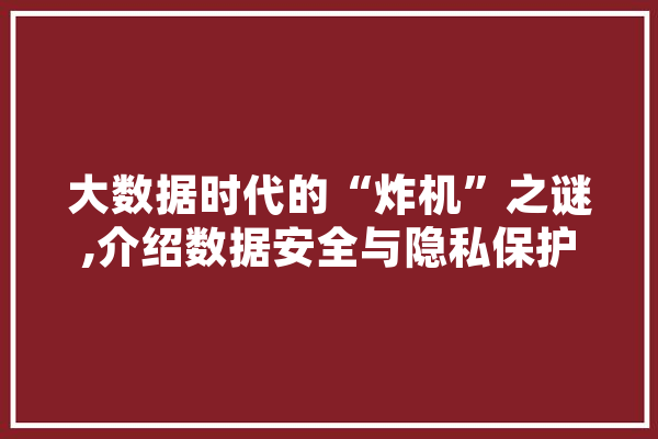 大数据时代的“炸机”之谜,介绍数据安全与隐私保护的挑战 智能问答