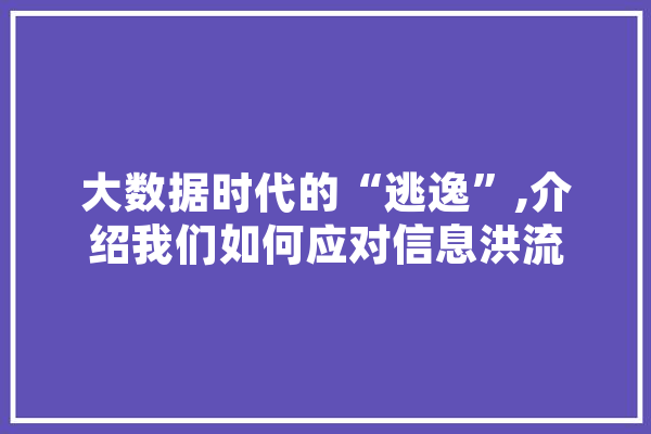 大数据时代的“逃逸”,介绍我们如何应对信息洪流 绘影字幕