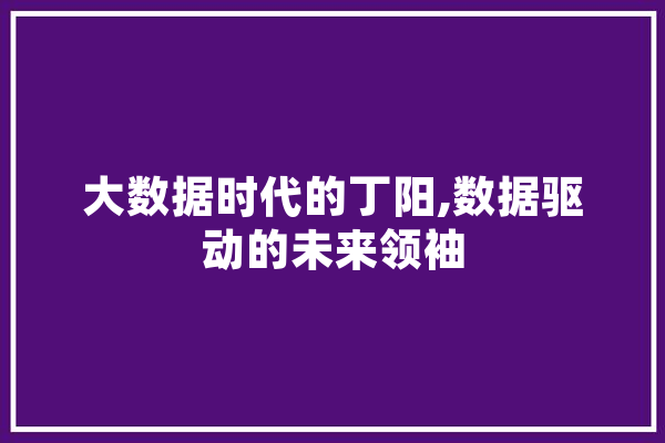 大数据时代的丁阳,数据驱动的未来领袖 计算机