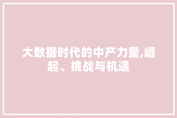 大数据时代的中产力量,崛起、挑战与机遇 计算机