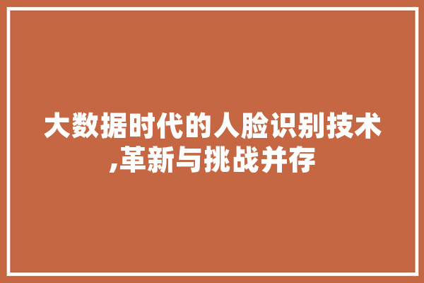 大数据时代的人脸识别技术,革新与挑战并存