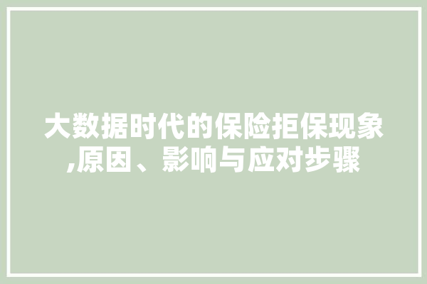 大数据时代的保险拒保现象,原因、影响与应对步骤