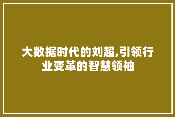 大数据时代的刘超,引领行业变革的智慧领袖