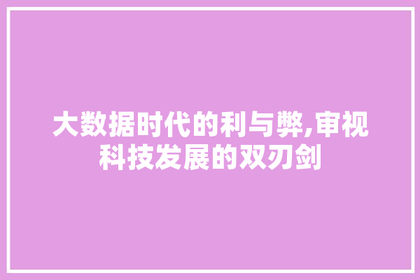 大数据时代的利与弊,审视科技发展的双刃剑 AI快讯