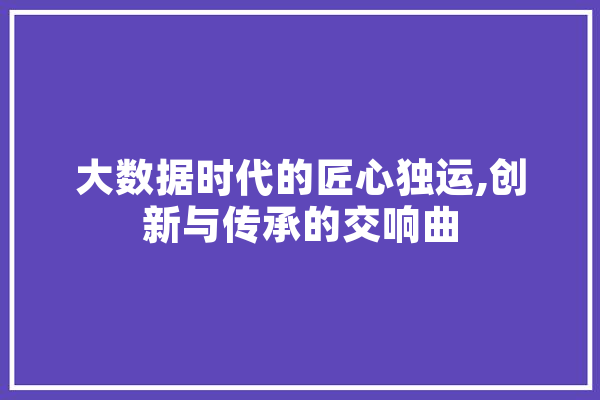 大数据时代的匠心独运,创新与传承的交响曲