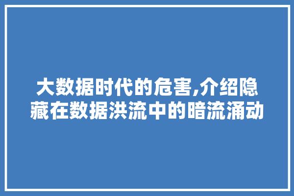 大数据时代的危害,介绍隐藏在数据洪流中的暗流涌动