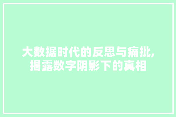大数据时代的反思与痛批,揭露数字阴影下的真相