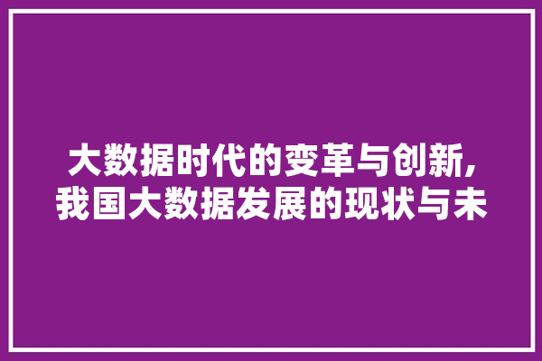 大数据时代的变革与创新,我国大数据发展的现状与未来展望