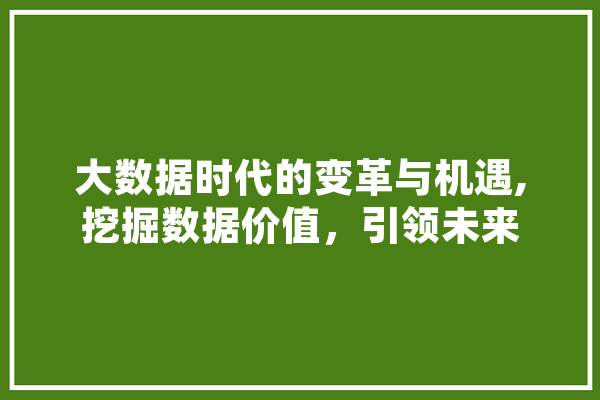 大数据时代的变革与机遇,挖掘数据价值，引领未来