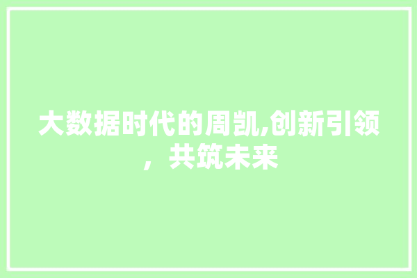 大数据时代的周凯,创新引领，共筑未来