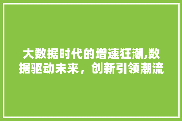 大数据时代的增速狂潮,数据驱动未来，创新引领潮流 智能助手