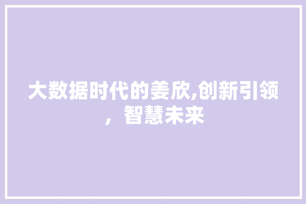 大数据时代的姜欣,创新引领，智慧未来