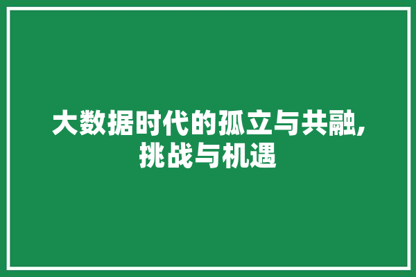 大数据时代的孤立与共融,挑战与机遇