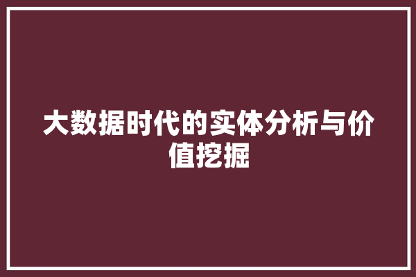 大数据时代的实体分析与价值挖掘