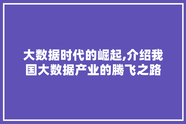 大数据时代的崛起,介绍我国大数据产业的腾飞之路