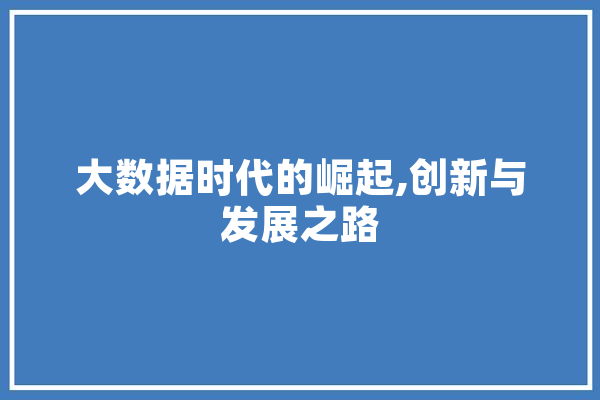 大数据时代的崛起,创新与发展之路 智能写作