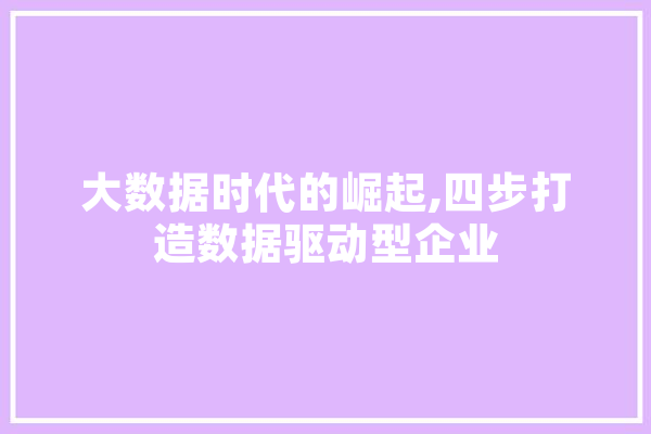 大数据时代的崛起,四步打造数据驱动型企业 智能写作