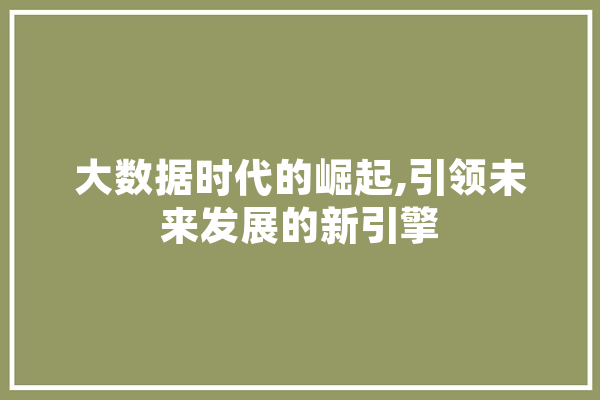 大数据时代的崛起,引领未来发展的新引擎 智能写作