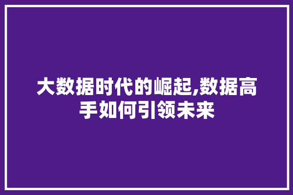 大数据时代的崛起,数据高手如何引领未来