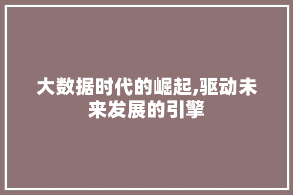 大数据时代的崛起,驱动未来发展的引擎
