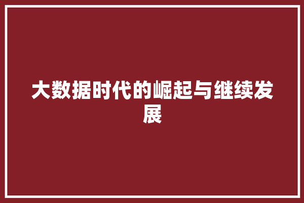 大数据时代的崛起与继续发展