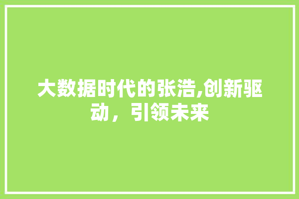 大数据时代的张浩,创新驱动，引领未来