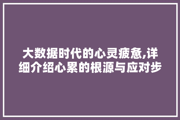 大数据时代的心灵疲惫,详细介绍心累的根源与应对步骤 云服务