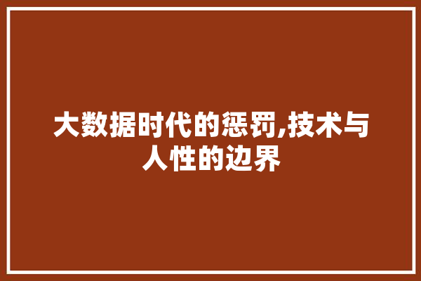 大数据时代的惩罚,技术与人性的边界 计算机