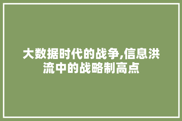 大数据时代的战争,信息洪流中的战略制高点