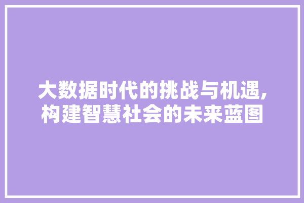 大数据时代的挑战与机遇,构建智慧社会的未来蓝图