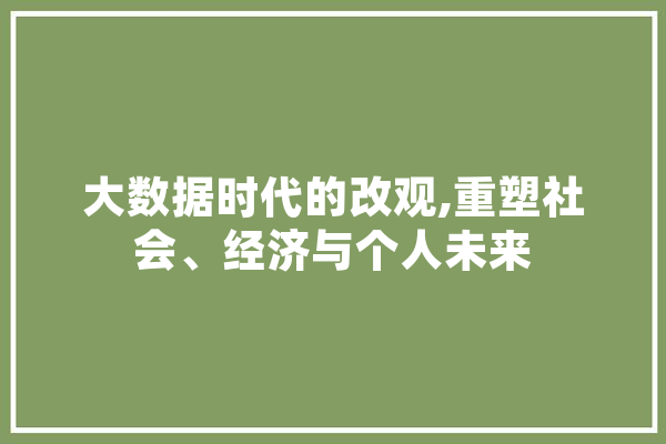 大数据时代的改观,重塑社会、经济与个人未来 绘影字幕
