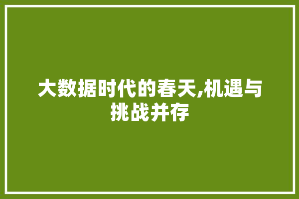 大数据时代的春天,机遇与挑战并存
