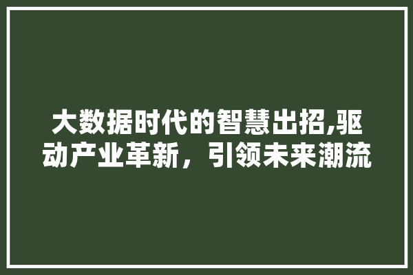 大数据时代的智慧出招,驱动产业革新，引领未来潮流