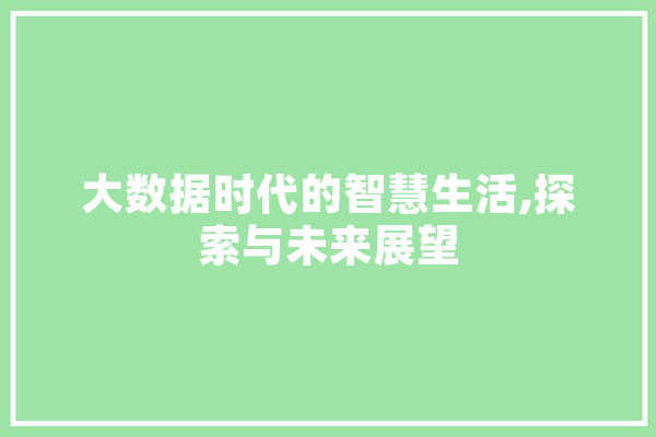 大数据时代的智慧生活,探索与未来展望